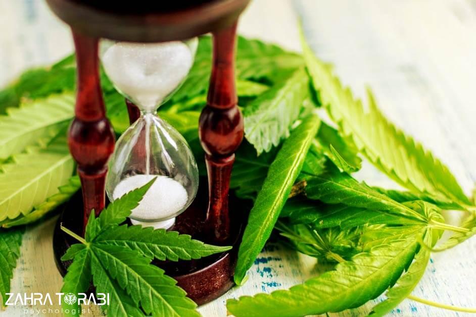 اختلالات وابستگی و اعتیاد به مصرف مواد 2 ماری جوانا، حشیش و سایر مواد حاوی شاهدانه